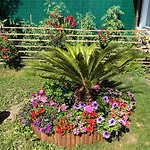 Baroque וילה *